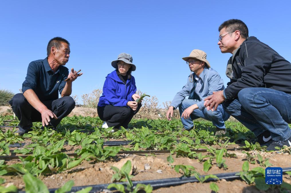 微乐斗地主记牌器下载